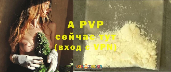 гидра Чекалин