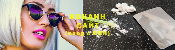 индика Чегем