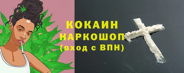 индика Чегем