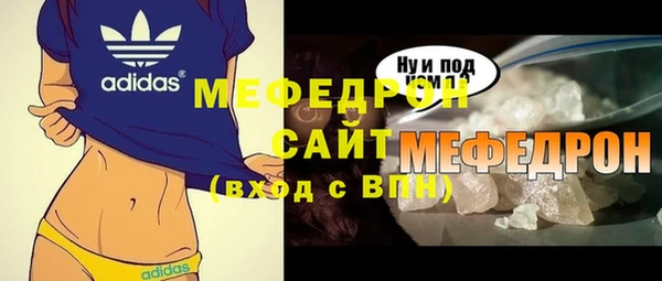 индика Чегем