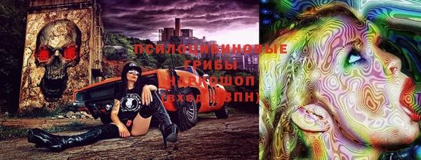 индика Чегем