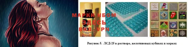 индика Чегем