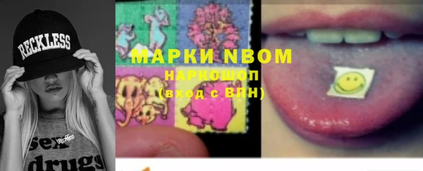 индика Чегем