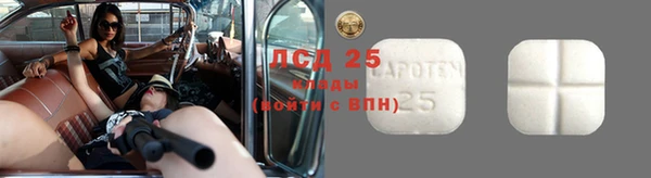 индика Чегем