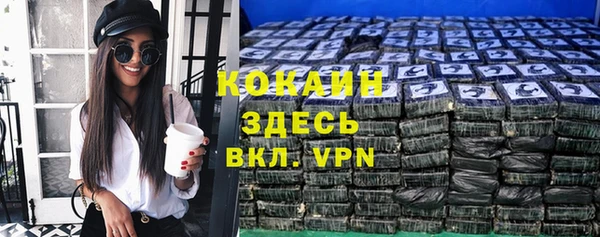 индика Чегем
