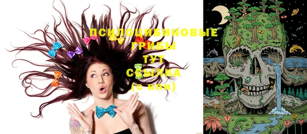 индика Чегем