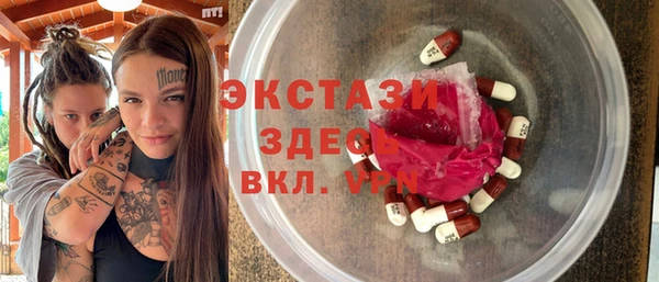 индика Чегем