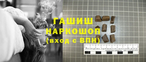 индика Чегем