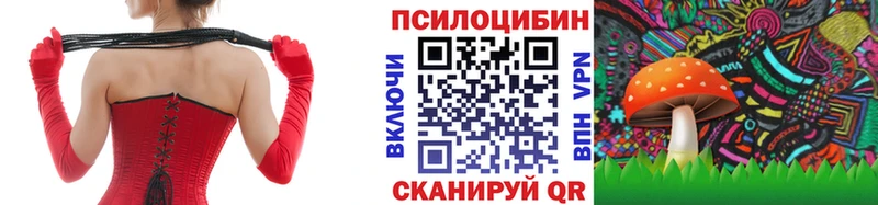 сайты даркнета Telegram  Керчь  Псилоцибиновые грибы Cubensis 
