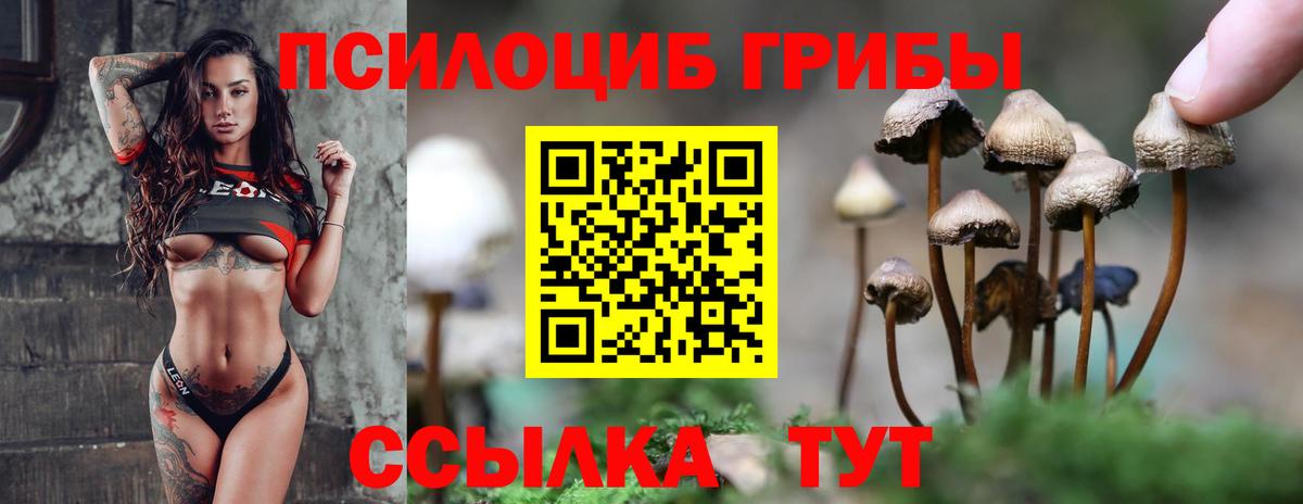 Псилоцибиновые грибы GOLDEN TEACHER  Вход с VPN  Керчь  Галлюциногенные грибы GOLDEN TEACHER 